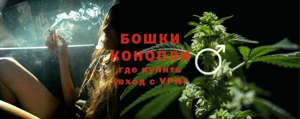 твердый Сосновоборск