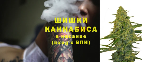 твердый Сосновоборск