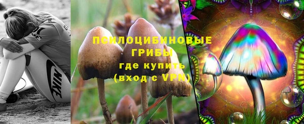 гашиш Алексин