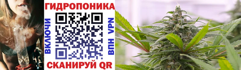 darknet наркотические препараты  Дыгулыбгей  Марихуана OG Kush 